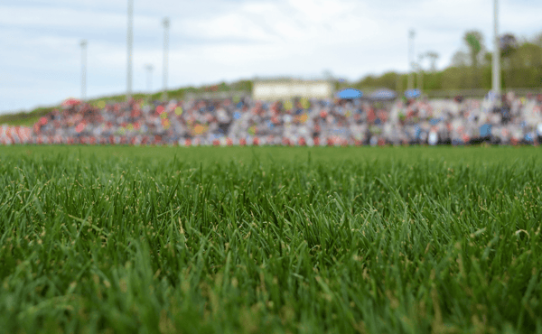 image of grass at an event